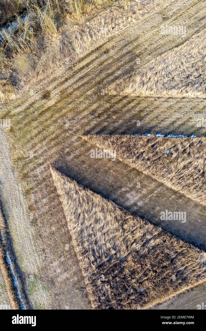 24 February 2021, Saxony-Anhalt, Wanzleben: Mowed patterns can be seen in the reeds at Faulen See, a wooded area with saline meadows, poplars and dry scrub. (Recorded with a drone). The 'Faule See' is located in the Magdeburger Börde east of Wanzleben. Photo: Stephan Schulz/dpa-Zentralbild/ZB Stock Photo