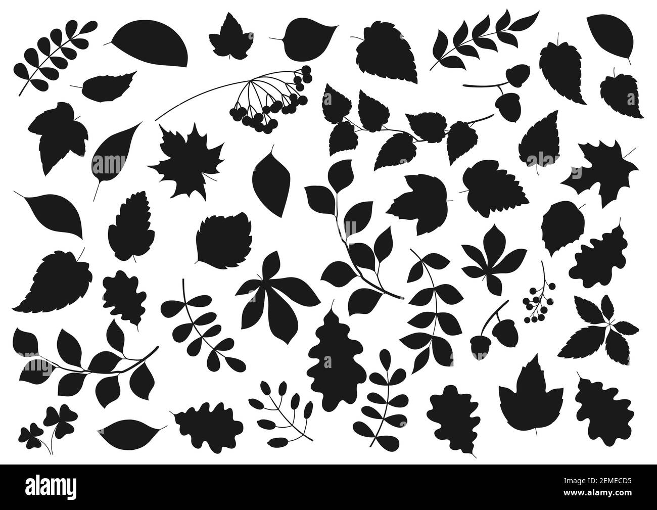 Tree leaves and plant seeds isolated nature and flora silhouette icons. Vector forest tree leaf of maple, birch, elm and chestnut, poplar, rowan berri Stock Vector