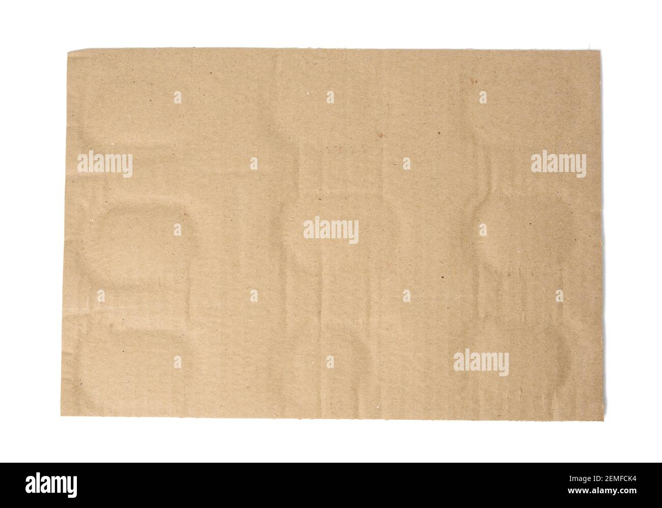 rectangular cardboard backing for glass bottles packaging isolated on