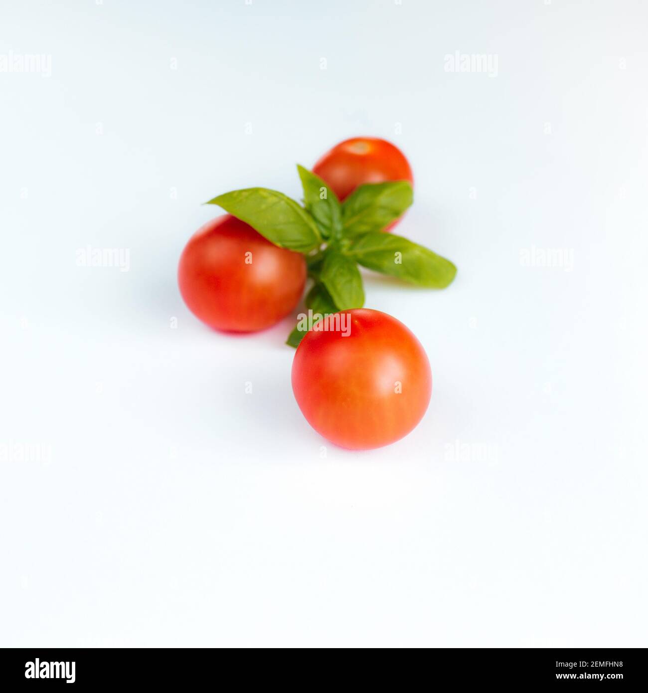Red cherry tomatoes with green basil on a white background. High ...