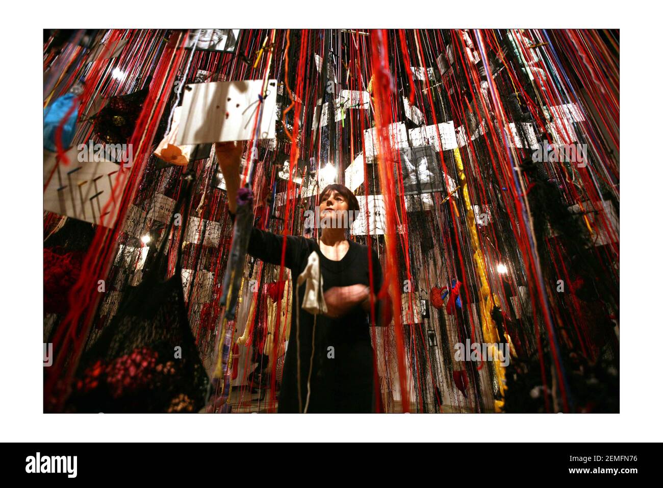 THE MESSENGERS. an exhibition by Annette Messager at the