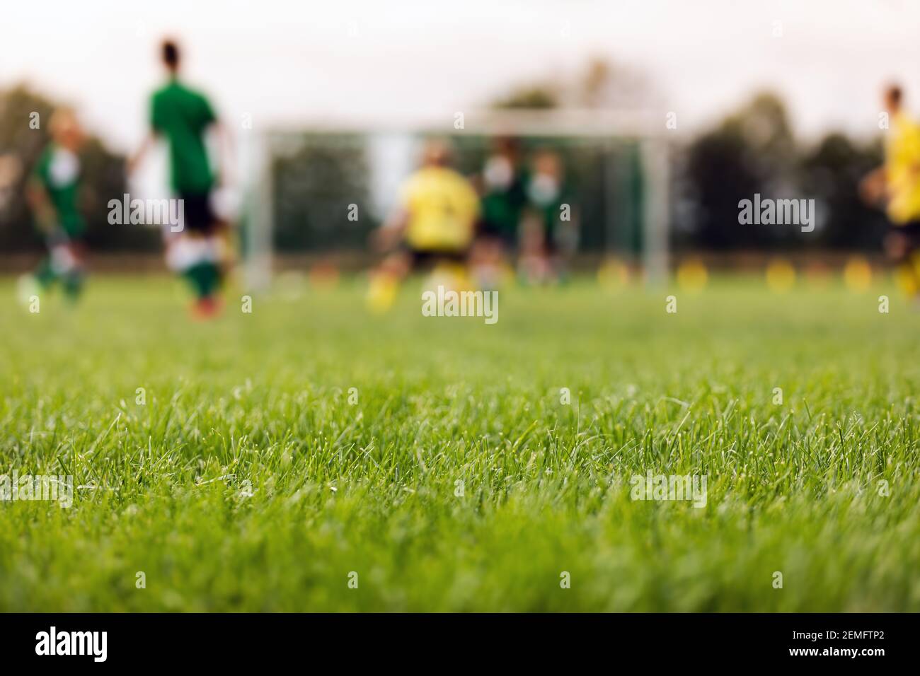 Soccer Stadium Field. Training Field in the Blurred Background.. Grass Football  Pitch. Kids Playing Sports. Football Blurred Background Stock Photo - Alamy