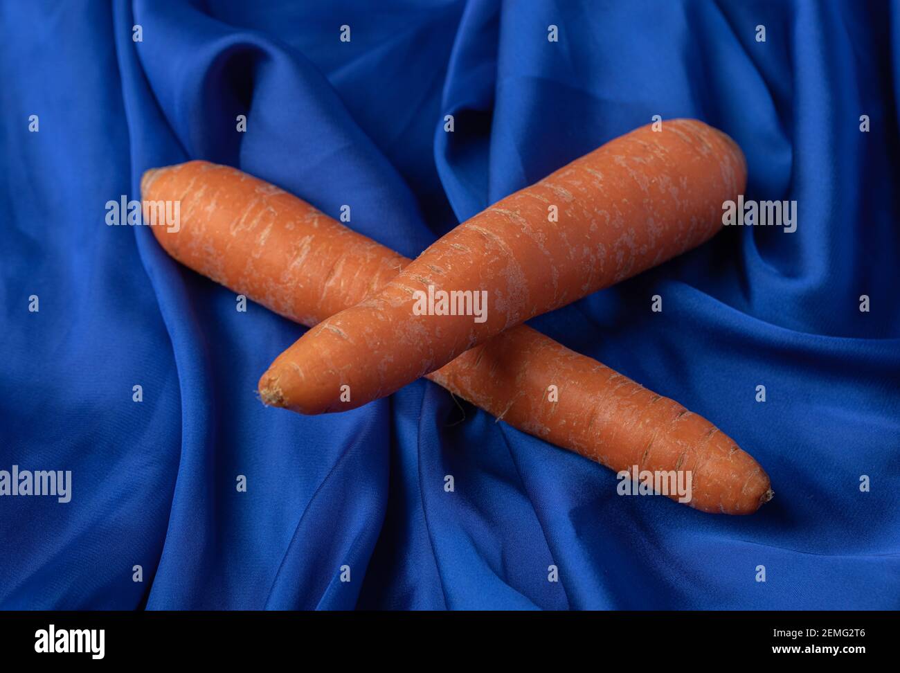 Two fresh carrots on blue background Stock Photo
