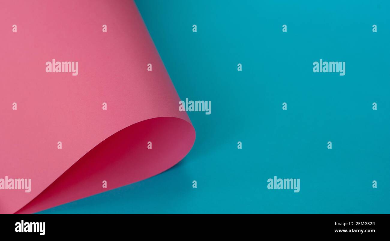 Blue background with rolled pink paper sheet. Minimal concept Stock Photo