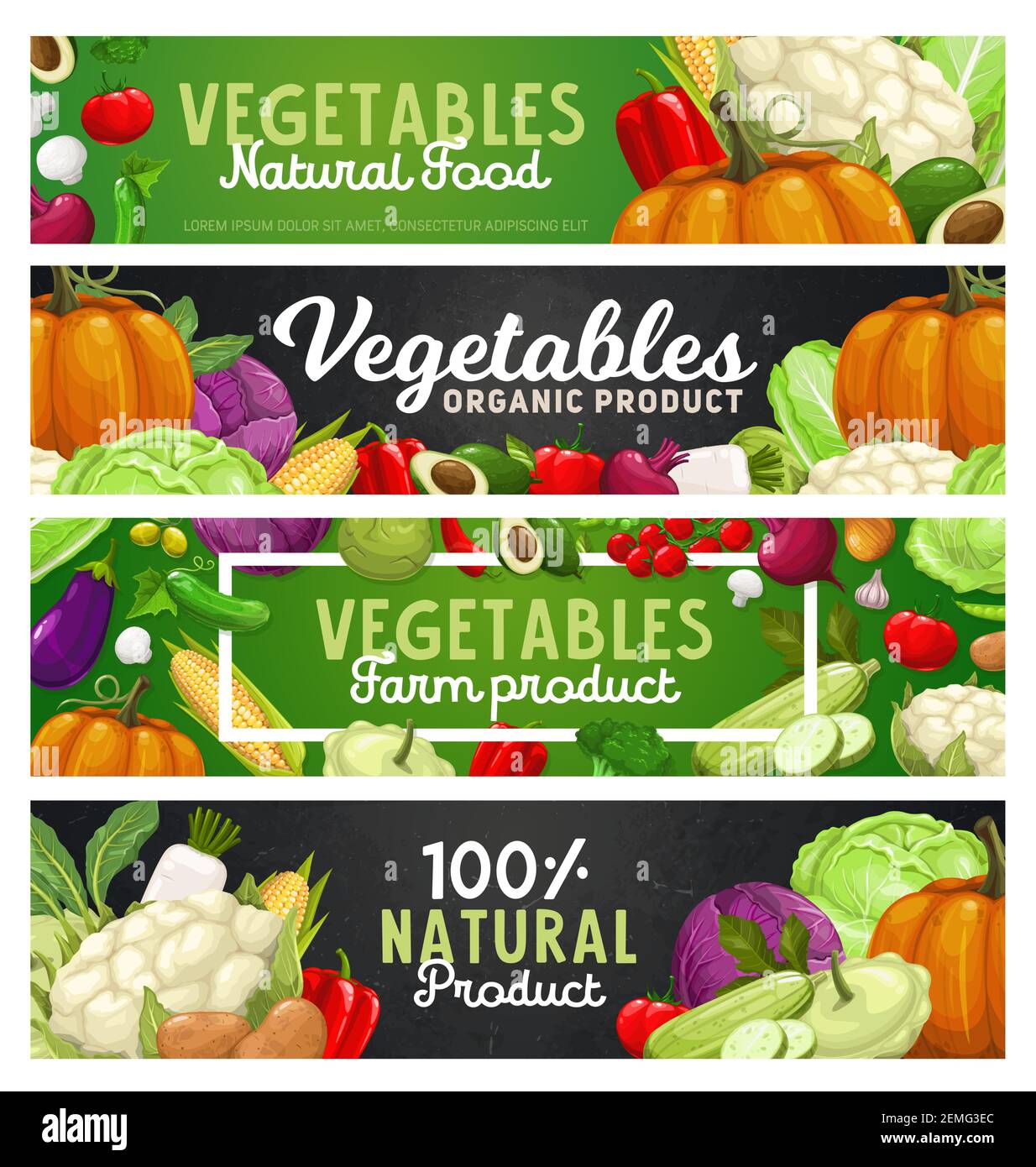 Vegetables and farm veggies, food harvest products, vector banners ...