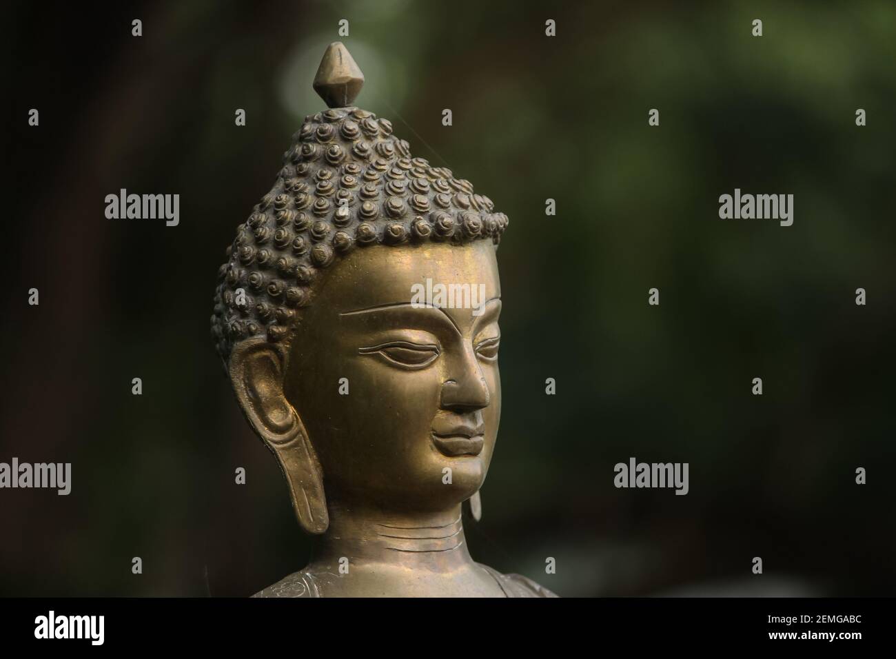 buddha head side view