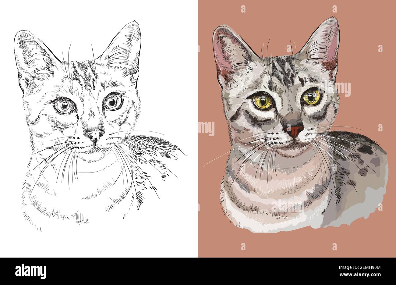 Black and white egyptian mau hot sale
