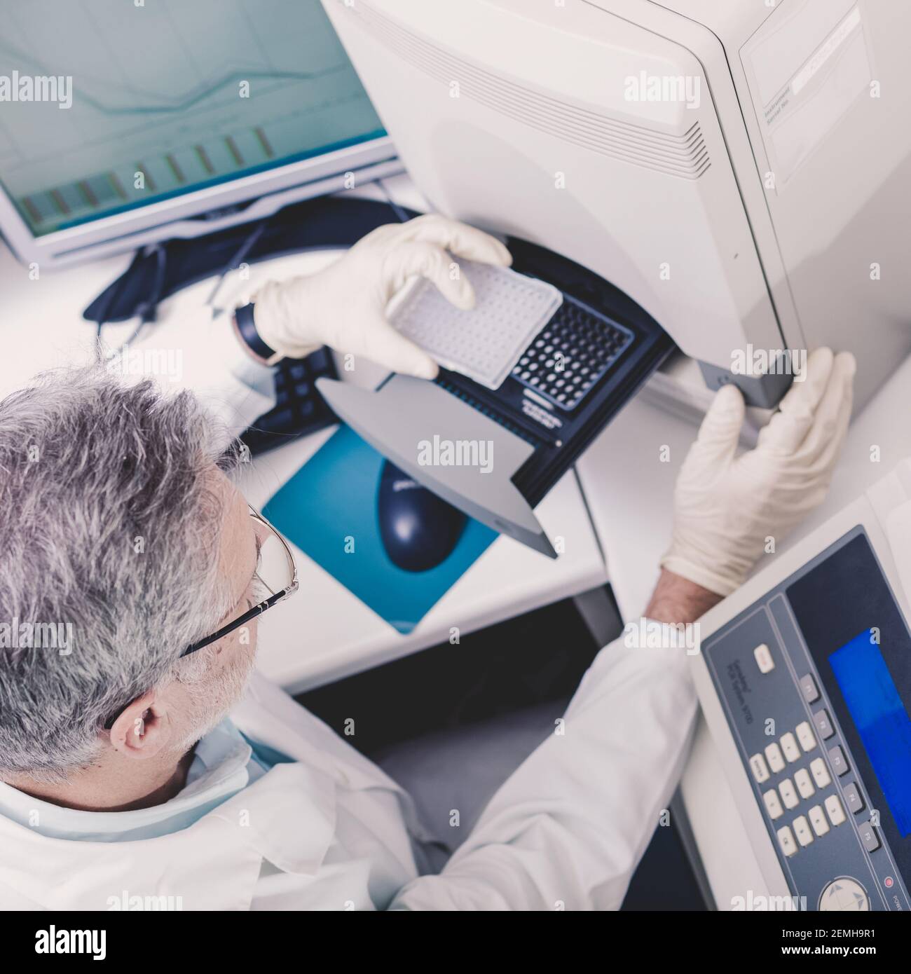 Life scientist researching in the laboratory Stock Photo Alamy