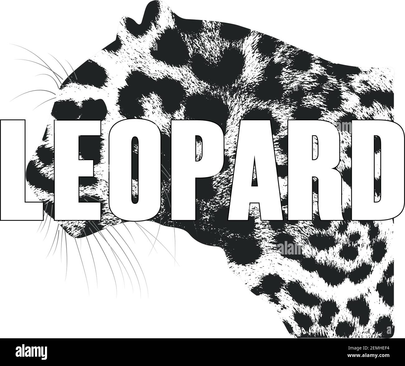 Leopard isolated on a white background, vector Illustration. Wild ...