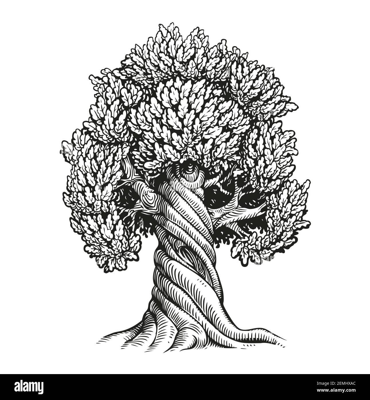 Tree oak. Hand drawn vintage sketch vector illustration Stock Vector