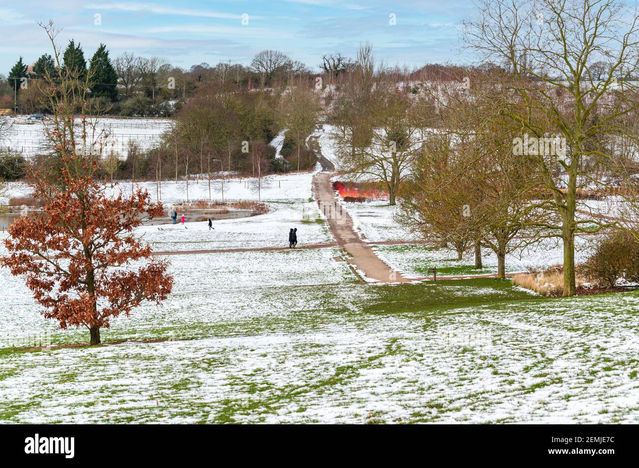Enjoying winter walks at RHS Hyde Hall, Essex. Snow all around but ...