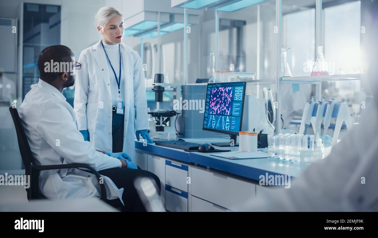 Modern Medical Research Laboratory: Two Scientists Use Computer with ...