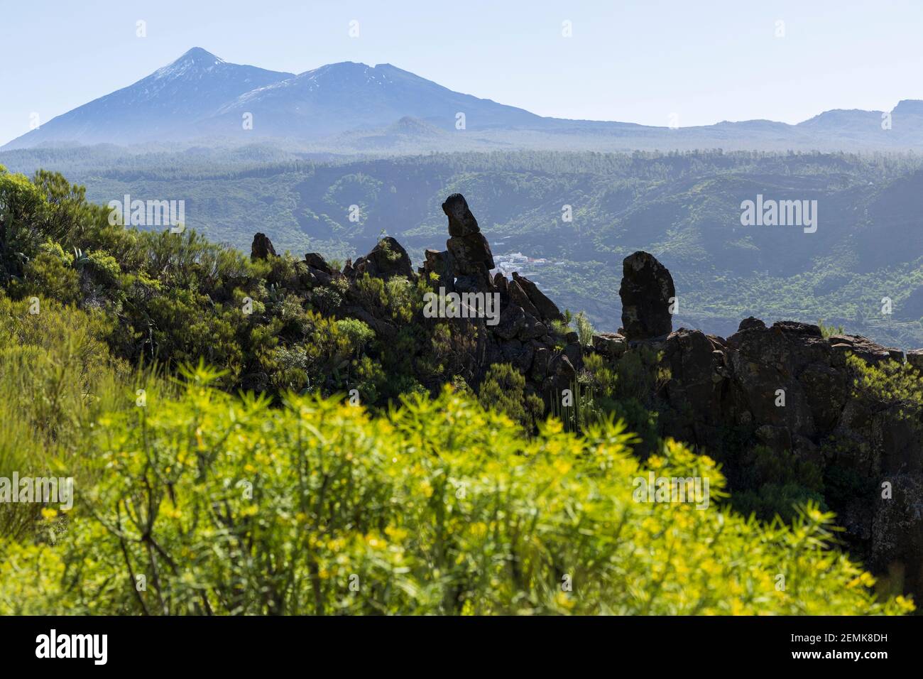 Rock formations amongst green shrubs and mount Teide volcano behind seen from the El molledo to Risco Blanco walk in Santiago del Teide area, Tenerife Stock Photo