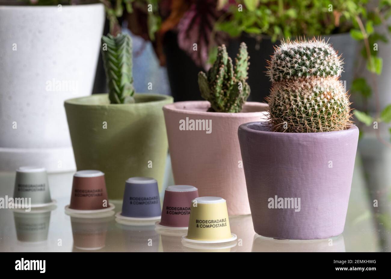 Colourful, sustainable eco friendly coffee capsules. The pods are