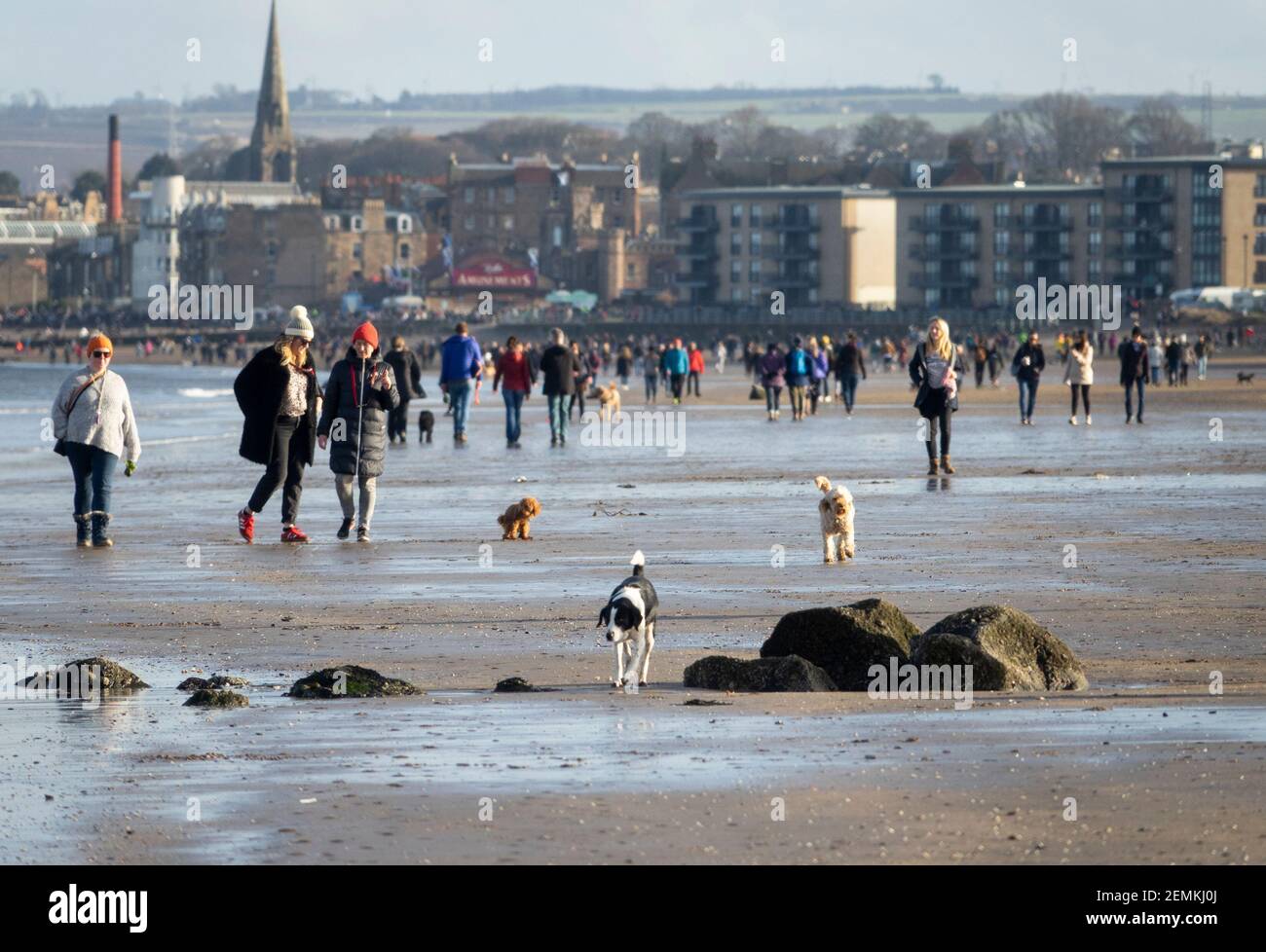 Dog owners keep their distance on Portobello beach in order to comply