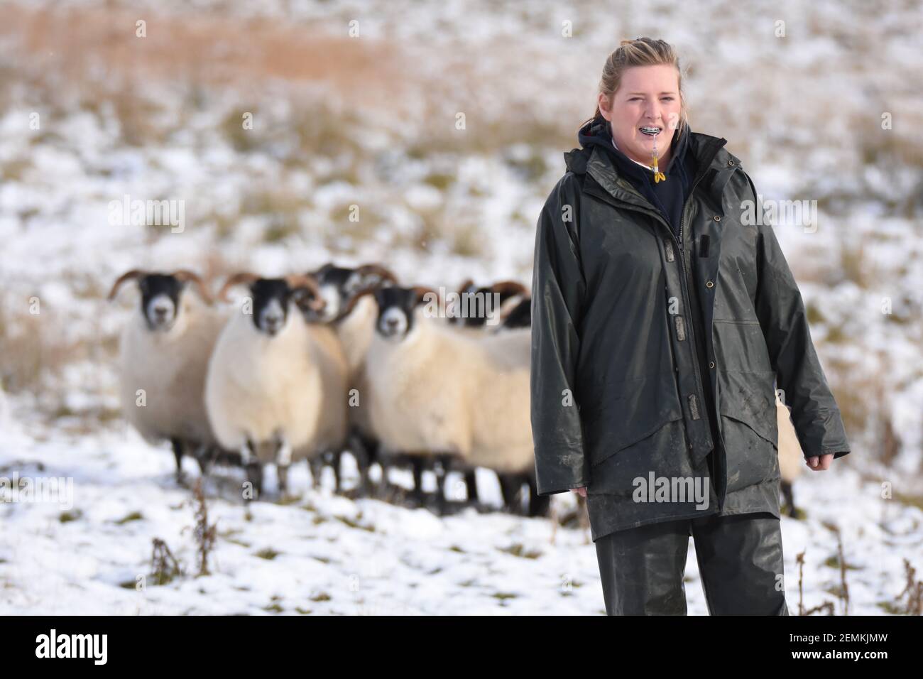 Shepherdess, Kelly Blackwood in Snow, South Lanarkshire, Scotland,UK