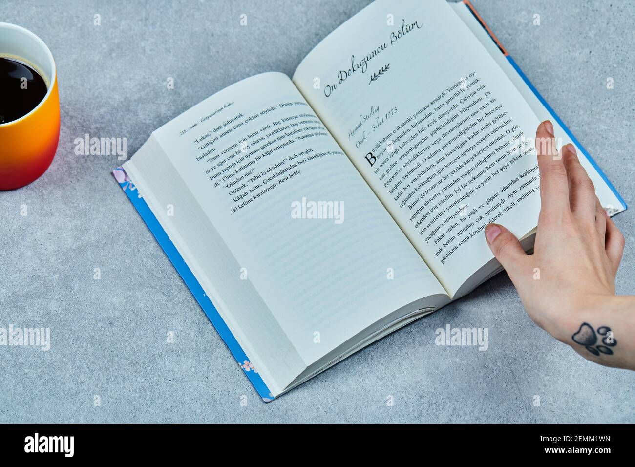 Female Hands Hold Open Bookbusiness Education Literature Read And Library  Concept Stock Illustration - Download Image Now - iStock