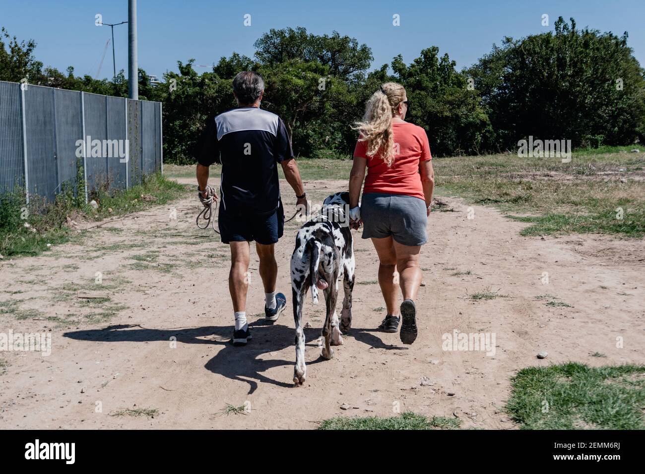 old couple in love with their backs turned walking together with their Dalmatian dog along the northern waterfront of Buenos Aires. Vicente lopez Stock Photo