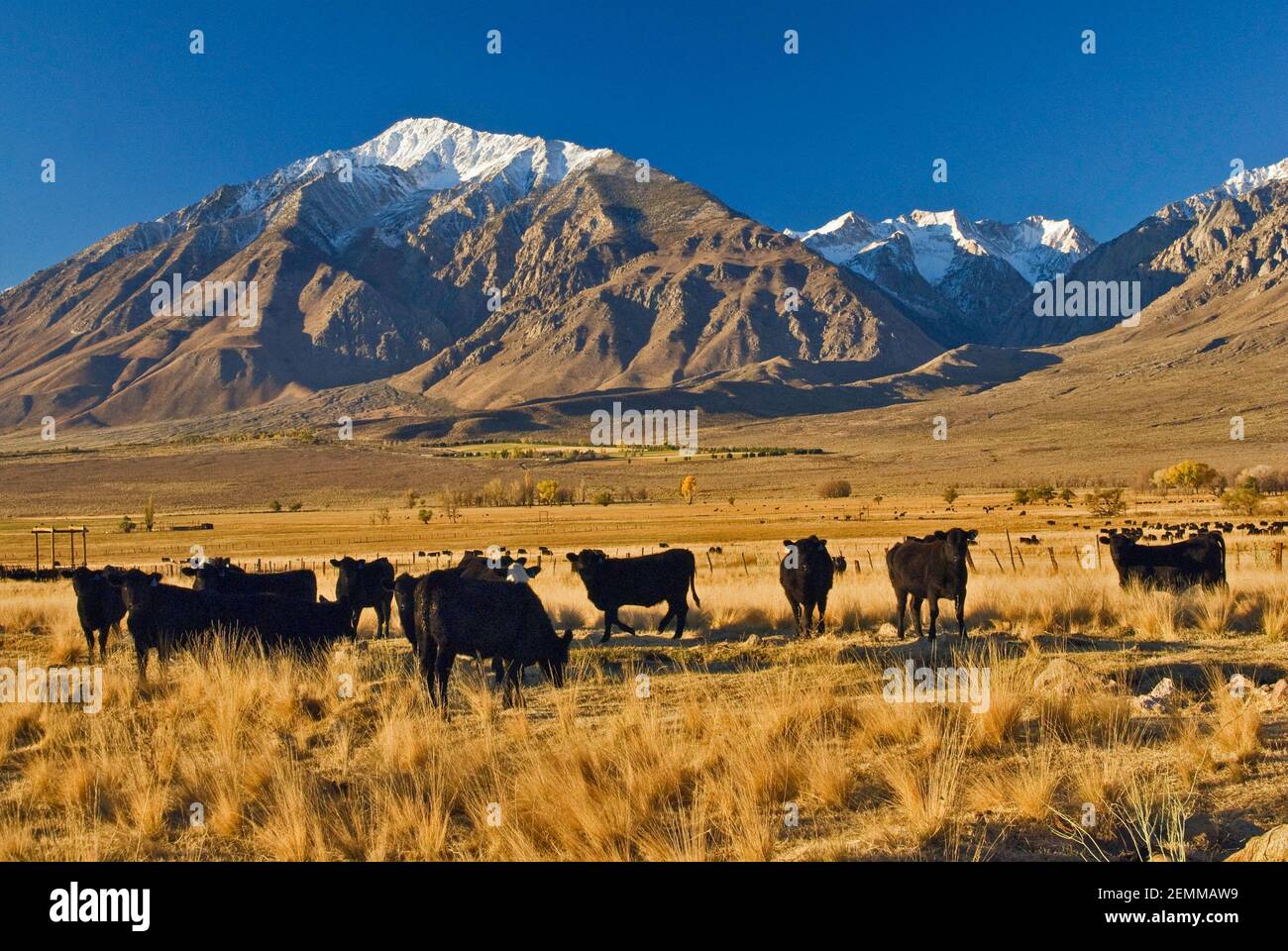 Mt tom hires stock photography and images Alamy