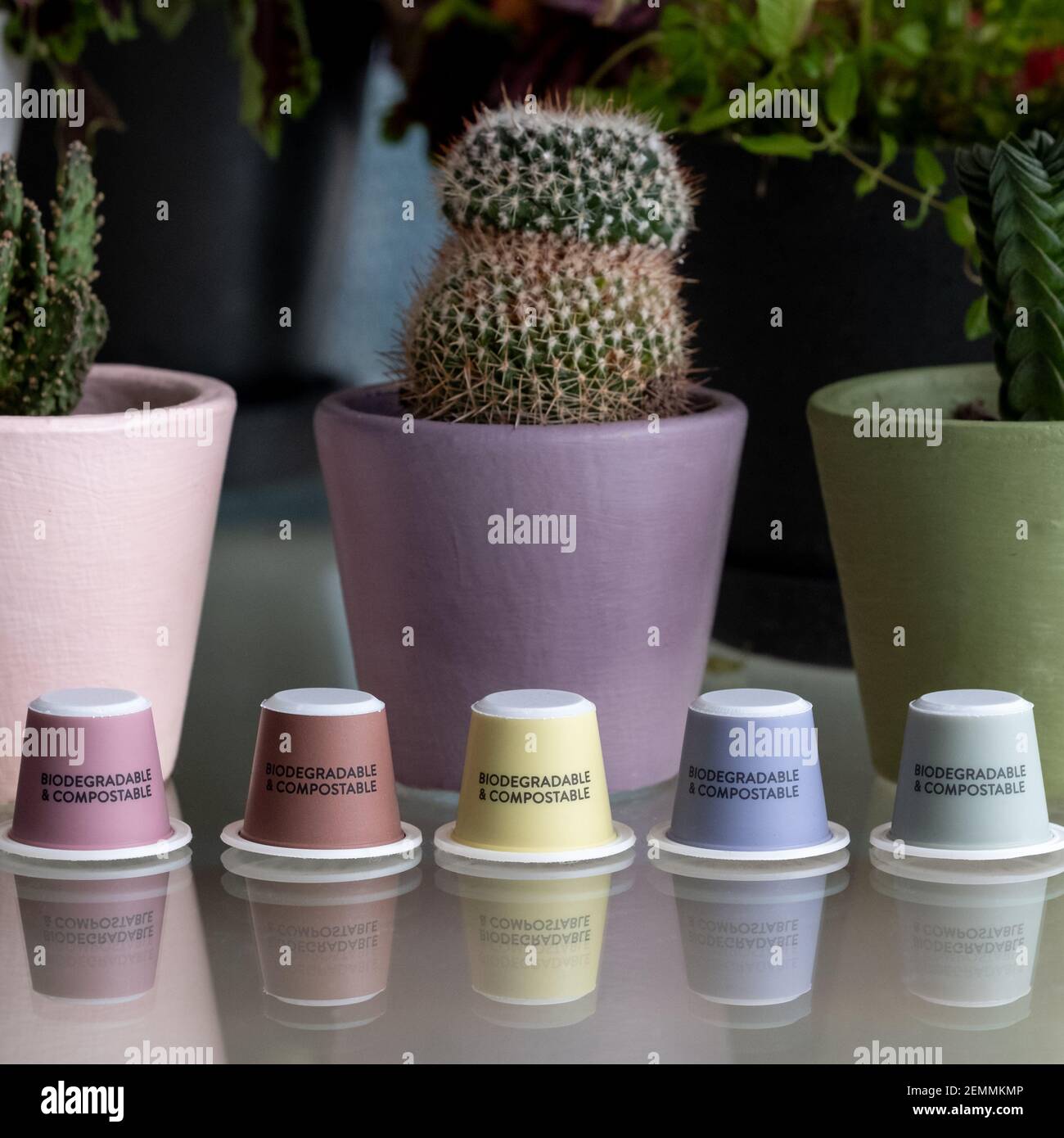 Colourful, sustainable eco friendly coffee capsules. The pods are