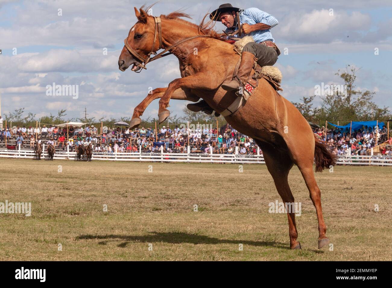 A Gaucho (Cowboy) seen riding a horse during the