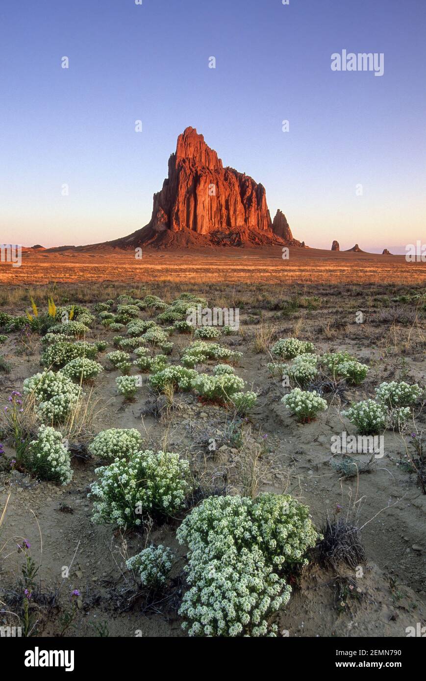 Shiprock, new mexico flowers hires stock photography and images Alamy