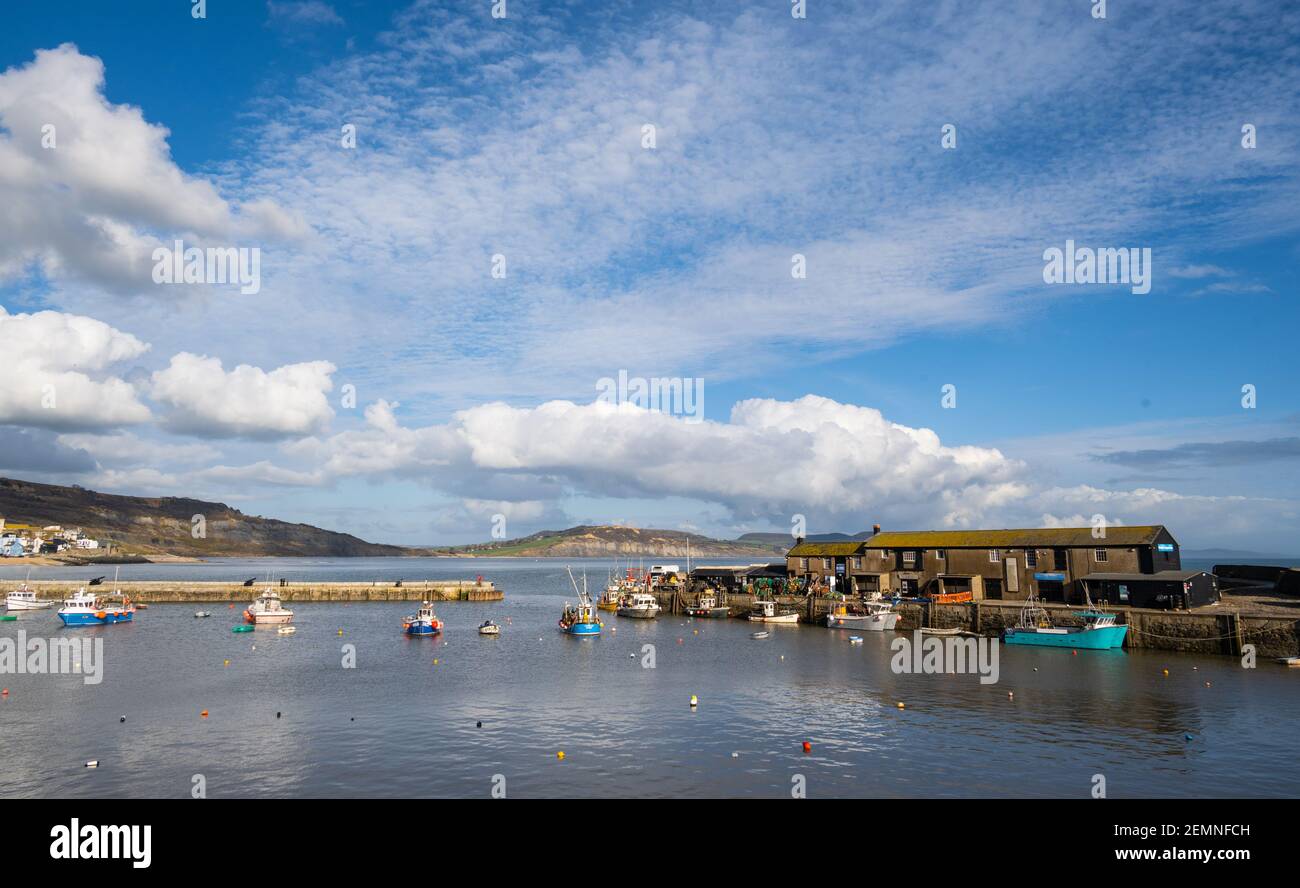 Lyme Regis, Dorset, UK. 25th Feb, 2021. UK Weather: The Cobb harbour at Lyme Regis on an afternoon of clear blue skies and bright sunshine. Credit: Celia McMahon/Alamy Live News Stock Photo