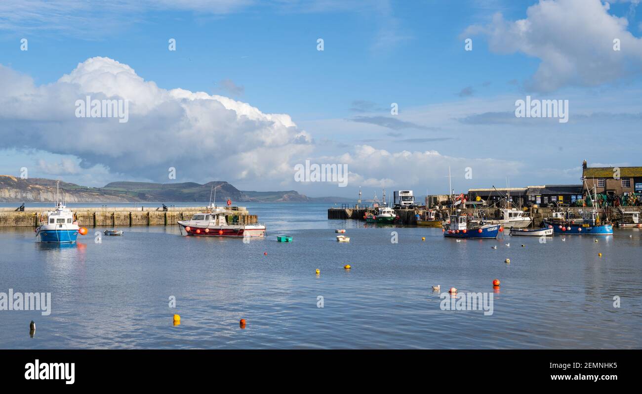 Lyme Regis, Dorset, UK. 25th Feb, 2021. UK Weather: The Cobb harbour at Lyme Regis on an afternoon of clear blue skies and bright sunshine. Credit: Celia McMahon/Alamy Live News Stock Photo