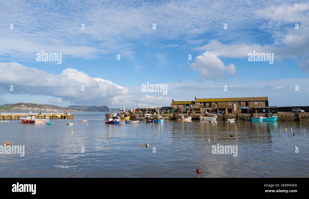 Lyme Regis, Dorset, UK. 25th Feb, 2021. UK Weather: The Cobb harbour at Lyme Regis on an afternoon of clear blue skies and bright sunshine. Credit: Celia McMahon/Alamy Live News Stock Photo