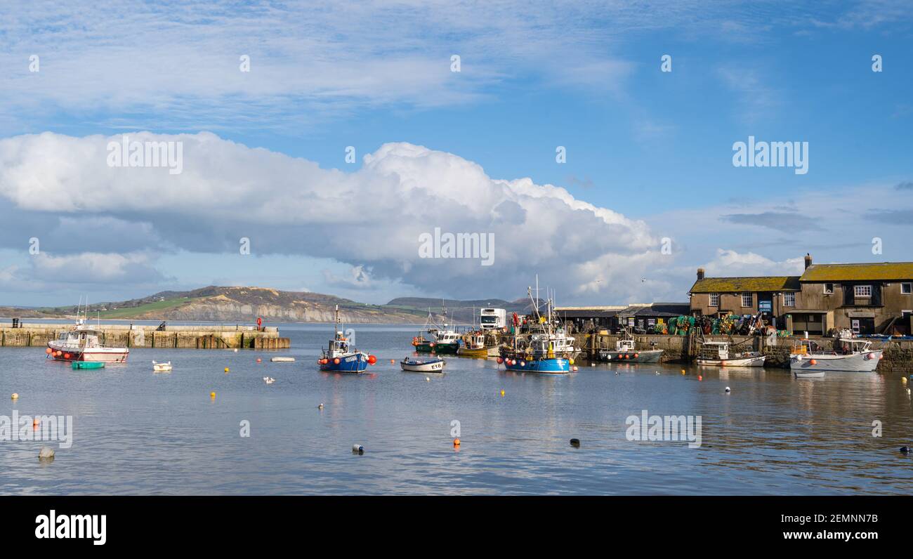 Lyme Regis, Dorset, UK. 25th Feb, 2021. UK Weather: The Cobb harbour at Lyme Regis on an afternoon of clear blue skies and bright sunshine. Credit: Celia McMahon/Alamy Live News Stock Photo