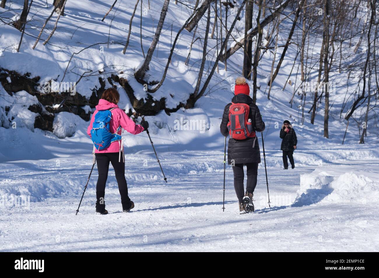 Parc du mont royal ski hires stock photography and images Alamy