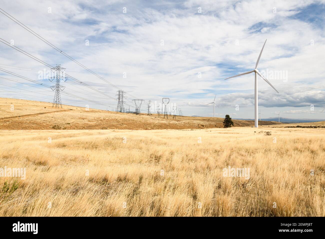 Wind turbine and transmission infrastructure in arid land in Kittitas