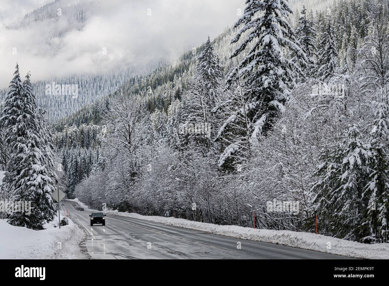 Traffic on US 2 in Washington State after a snow storm travels through a snowy wonderland below Stevens Pass in winter Stock Photo
