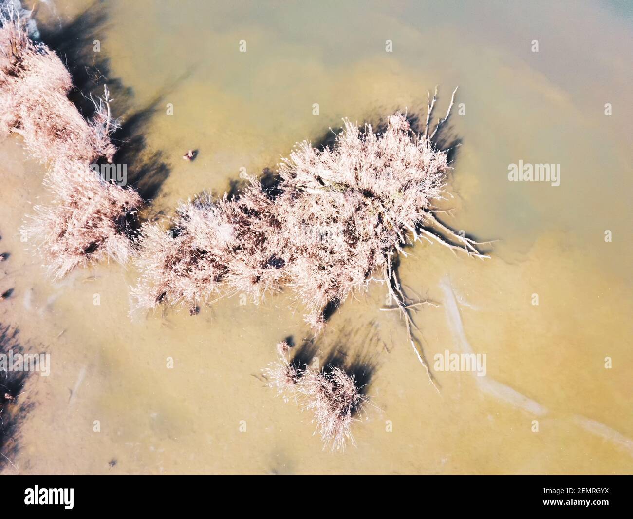 Fishing lake near heating plant hires stock photography and images Alamy