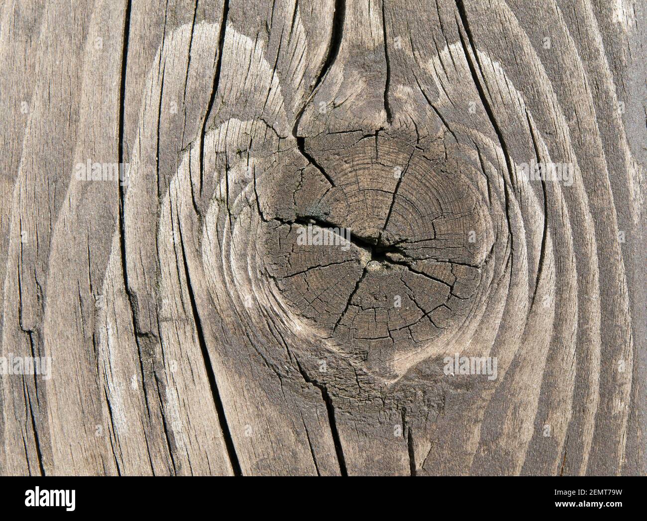 Piece of wood with big knot Stock Photo Alamy
