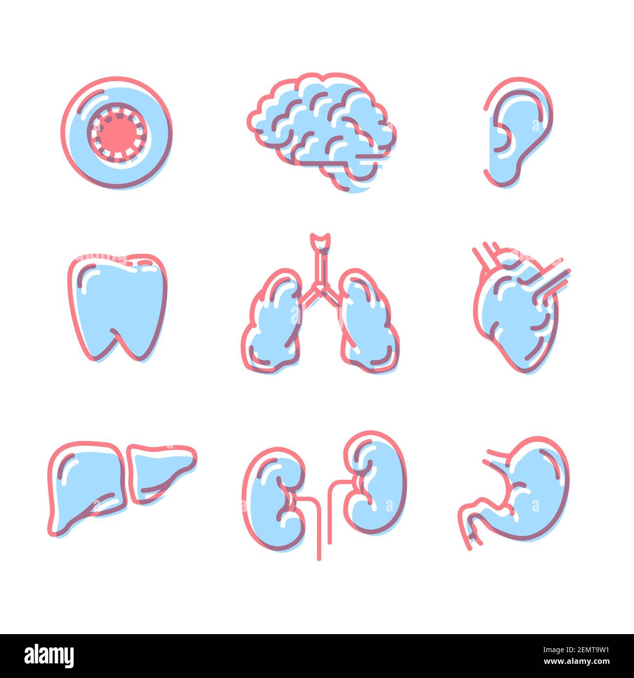 Set of simple colour icons of human organs isolated on white Stock ...