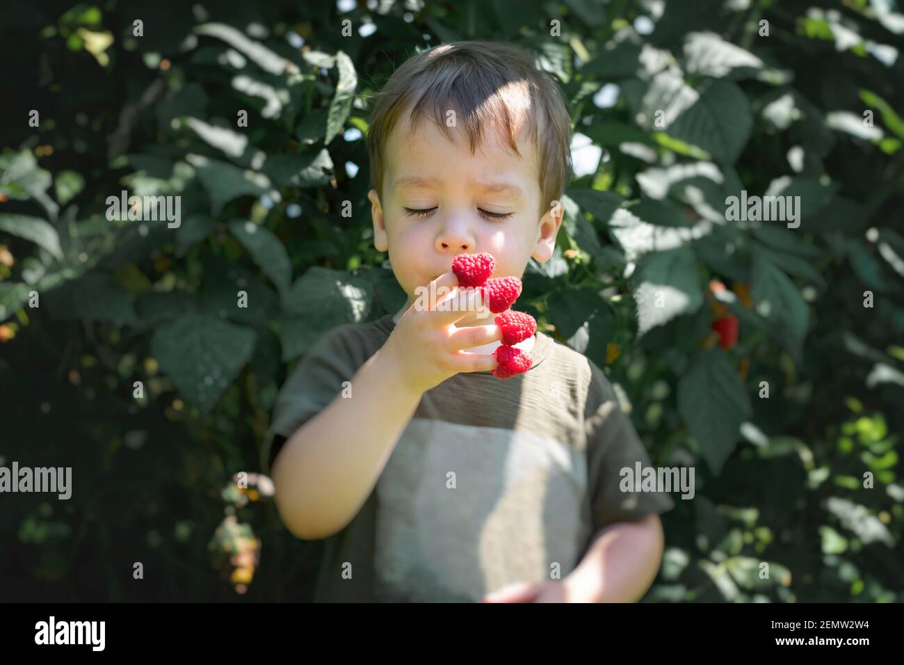 Small boy eating raspberry dressed on his toes in summer garden Stock Photo