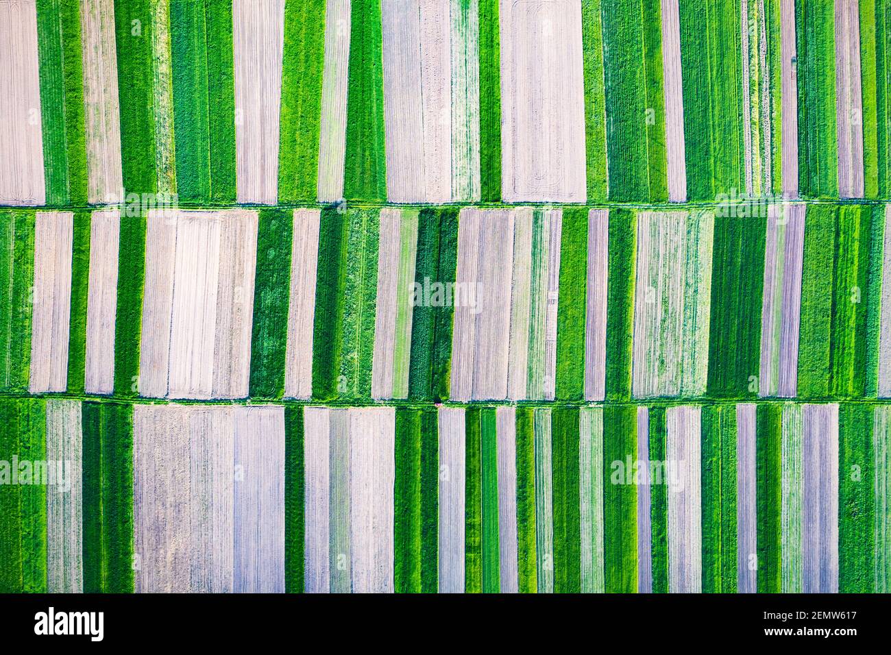 Aerial drone top view flight over green garden fields on sunny spring or summer day. Nature background Stock Photo