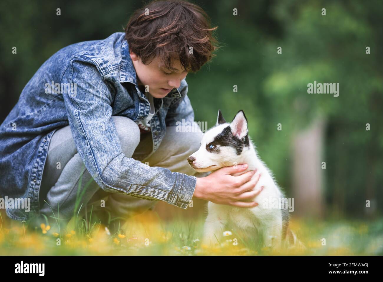 Teen with white dog puppy breed siberian husky on spring backyard. Dogs and pets photography Stock Photo