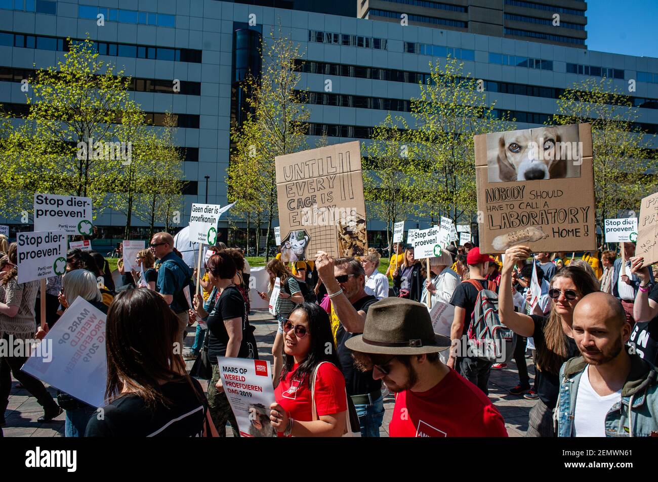 Pro animals activists are seen holding placards during the demonstration against animal tests in Rotterdam. on April 20th, 2019. The Non-governmental organization 'Animal Rights' organized a demonstration for the replacement of animal Pro animals activists are seen holding placards during the demonstration against animal tests in Rotterdam. on April 20th, 2019. The Non-governmental organization 'Animal Rights' organized a demonstration for the replacement of animal