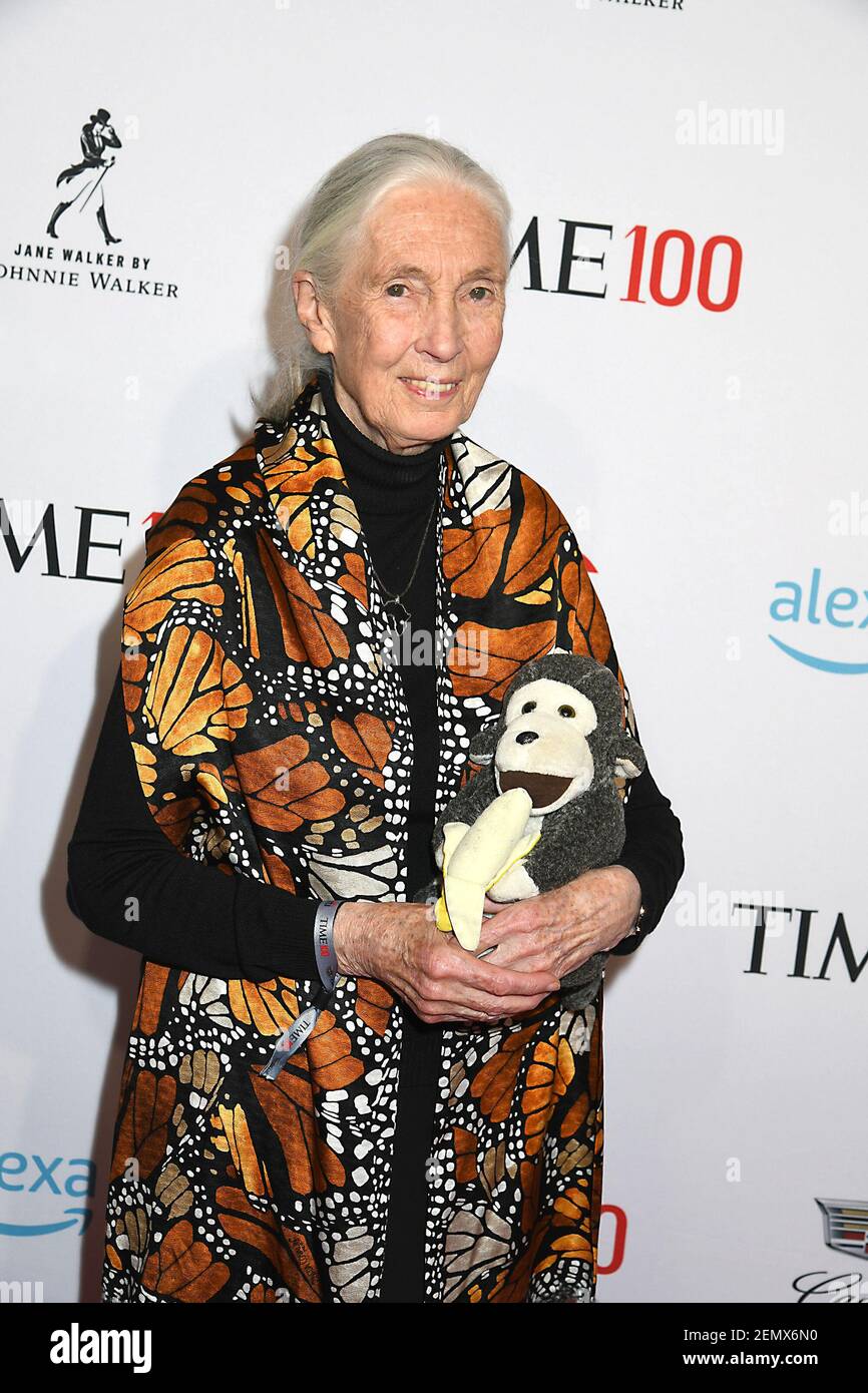 Robin Goodall English Primatologist and Anthropologist Jane Goodall attends the 2019 ...