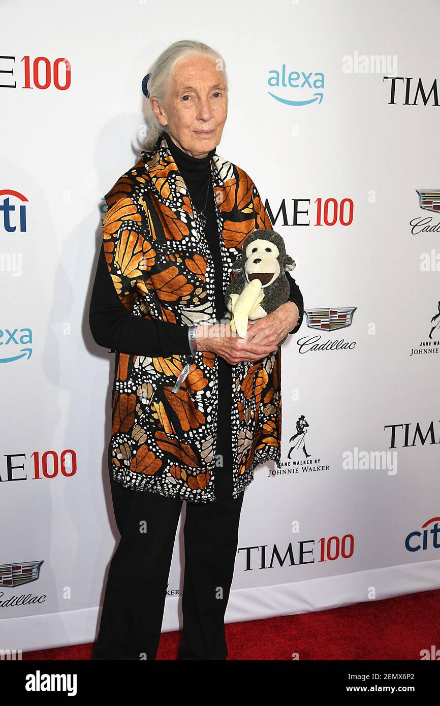 Robin Goodall English Primatologist and Anthropologist Jane Goodall attends the 2019 ...