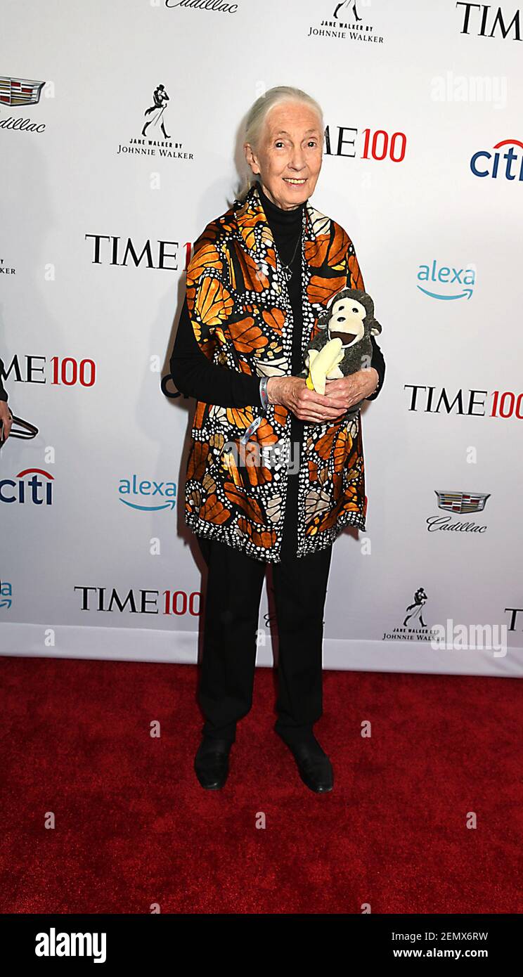 Robin Goodall English Primatologist and Anthropologist Jane Goodall attends the 2019 ...