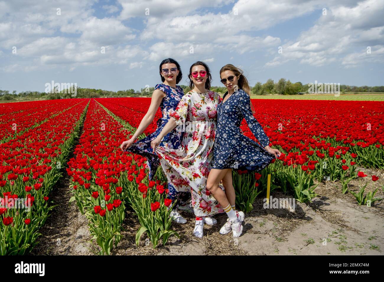 Tourists look and take photos of the Lisse Tulip Fields in Lisse, The Netherlands on Apr. 24, 2019. The farmers have experienced heavy crowds that sometimes damage the flowers during selfie picture taking so there was a 'crush barrier' installed to control the crowds. (Photo by Robin Utrecht/Sipa USA) Stock Photo