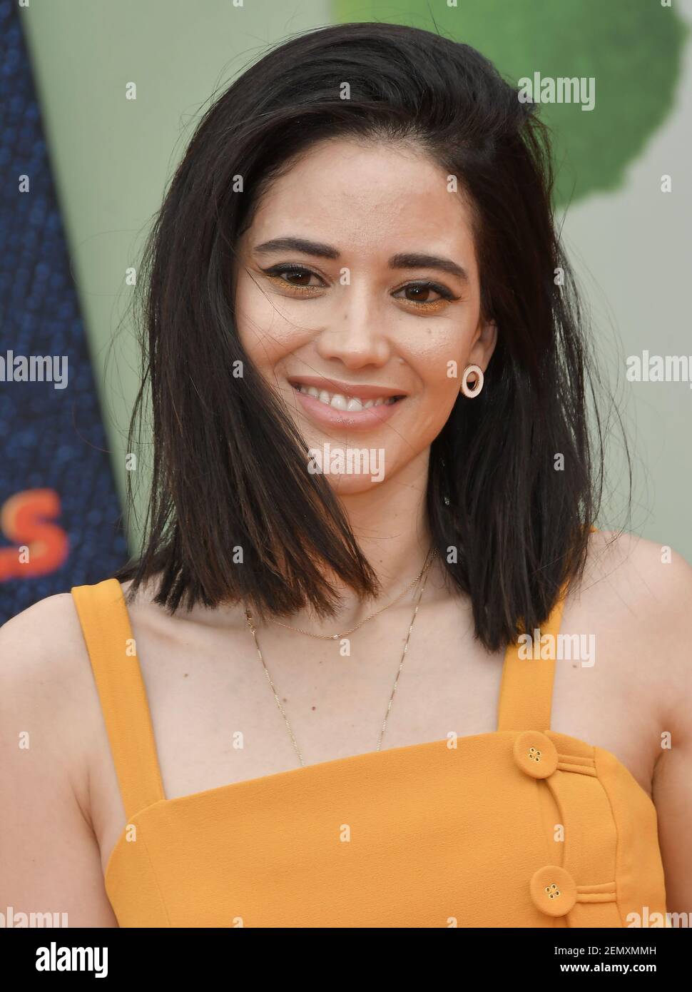 Edy Ganem arrives at the "UglyDolls" World Premiere held at the Regal