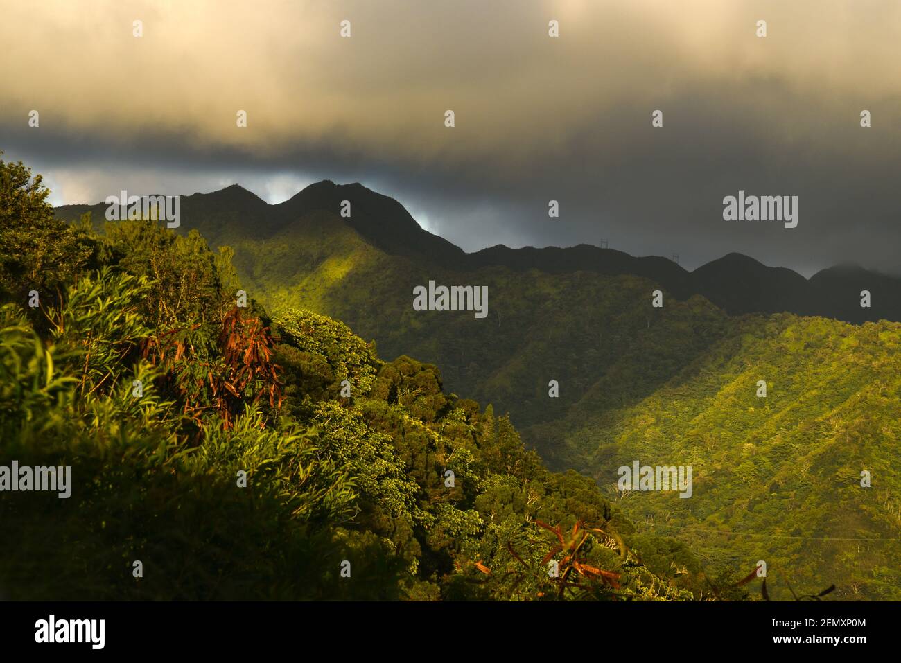Spectacular view of rain forest mountain ridge, Mount Olympus, lookout
