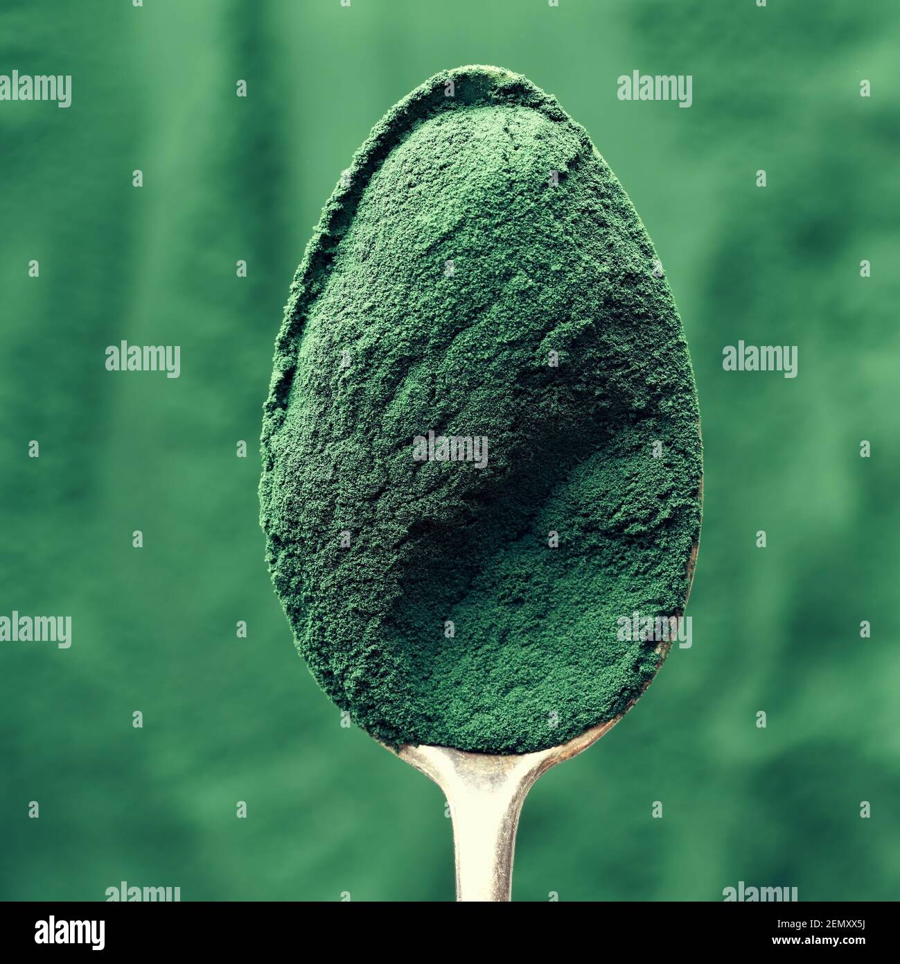 Spirulina powder on a metal spoon, close up Stock Photo Alamy