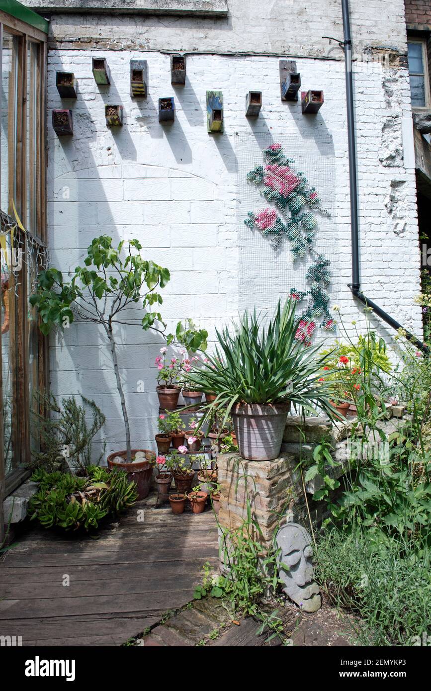 Corner of Dalston Eastern Curve Garden with potted plants and bird boxes against white painted wall, London Borough of Hackney Stock Photo