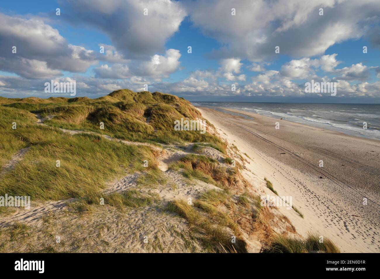 beach and dunes of Hvide Sande at the North Sea, Denmark Stock Photo