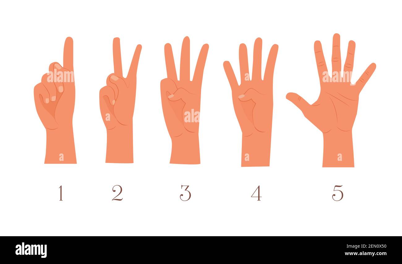 Set of fingers. first, second,  third, fourth, fifth, one, two, three, four, five numbers. Hand showing counts with fingers vector illustration. Stock Vector